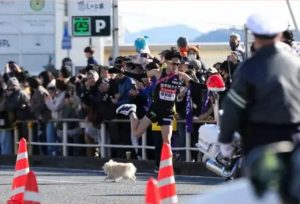 Thumbnail of post image 106