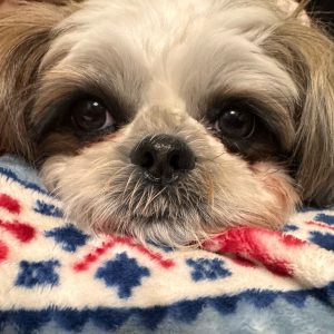 Thumbnail of post image 087