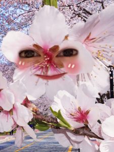 Thumbnail of post image 123