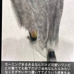 Thumbnail of new posts 061