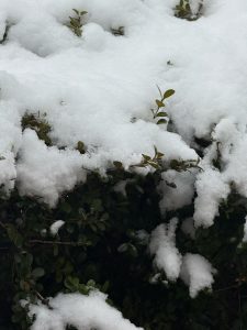 Thumbnail of post image 058