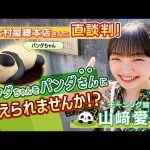 Thumbnail of new posts 187