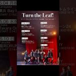 Thumbnail of new posts 029