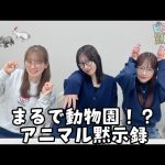 Thumbnail of new posts 055