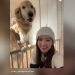 Thumbnail of new posts 074