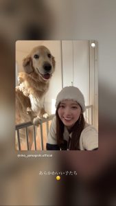 Thumbnail of post image 036