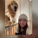 Thumbnail of new posts 168