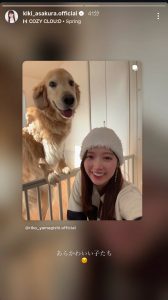 Thumbnail of post image 101