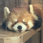 Thumbnail of new posts 017