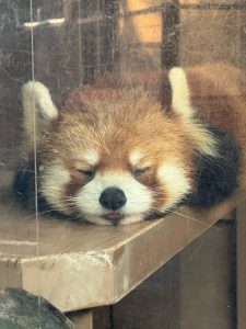 Thumbnail of post image 181