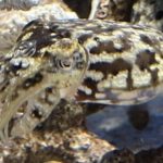 Thumbnail of new posts 077