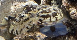 Thumbnail of post image 193