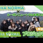 Thumbnail of new posts 170