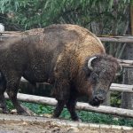 Thumbnail of new posts 033