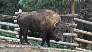 Thumbnail of post image 003