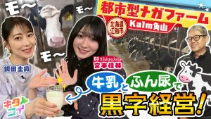 Thumbnail of post image 079