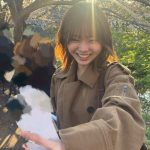 Thumbnail of new posts 027