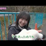 Thumbnail of new posts 181