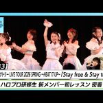 Thumbnail of new posts 154