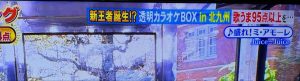 Thumbnail of post image 165