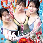 Thumbnail of new posts 063