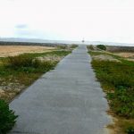Thumbnail of new posts 142