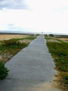 Thumbnail of post image 151