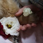 Thumbnail of new posts 110