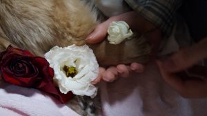 Thumbnail of post image 159
