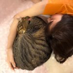 Thumbnail of new posts 068