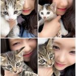 Thumbnail of new posts 060