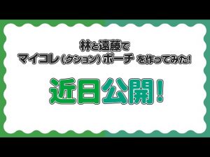Thumbnail of post image 004