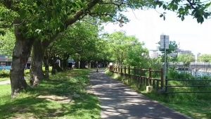 Thumbnail of post image 072