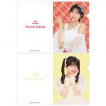 Thumbnail of new posts 048