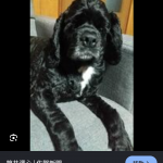 Thumbnail of new posts 155