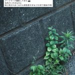 Thumbnail of new posts 167