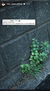 Thumbnail of post image 080