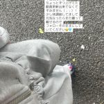 Thumbnail of new posts 197