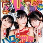 Thumbnail of new posts 018