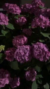 Thumbnail of post image 075