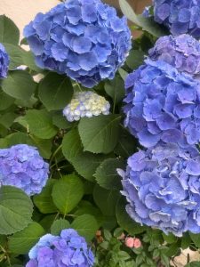 Thumbnail of post image 035
