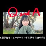 Thumbnail of new posts 137