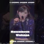 Thumbnail of new posts 107
