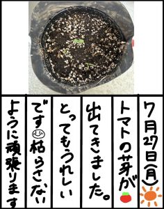 Thumbnail of post image 192