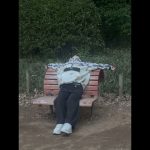 Thumbnail of new posts 140