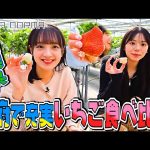 Thumbnail of new posts 108