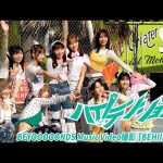 Thumbnail of new posts 186