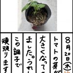 Thumbnail of new posts 052
