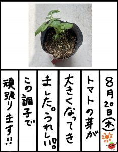 Thumbnail of post image 016