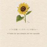 Thumbnail of new posts 064